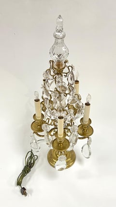 Pair Gilt Bronze and Crystal Candelabra Table Lamps