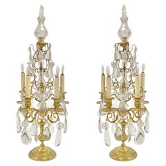 Pair Gilt Bronze and Crystal Candelabra Table Lamps
