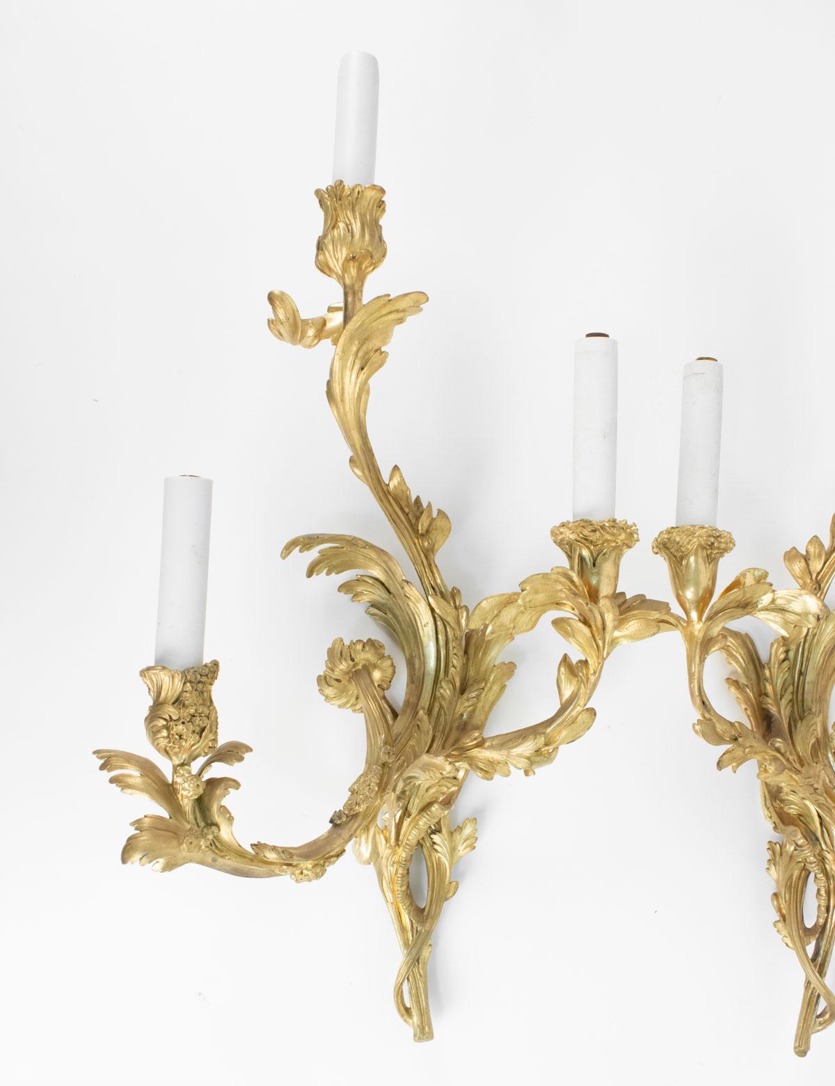 French Pair of Gilt Bronze Sconces from the 19th Century in Louis XV Style