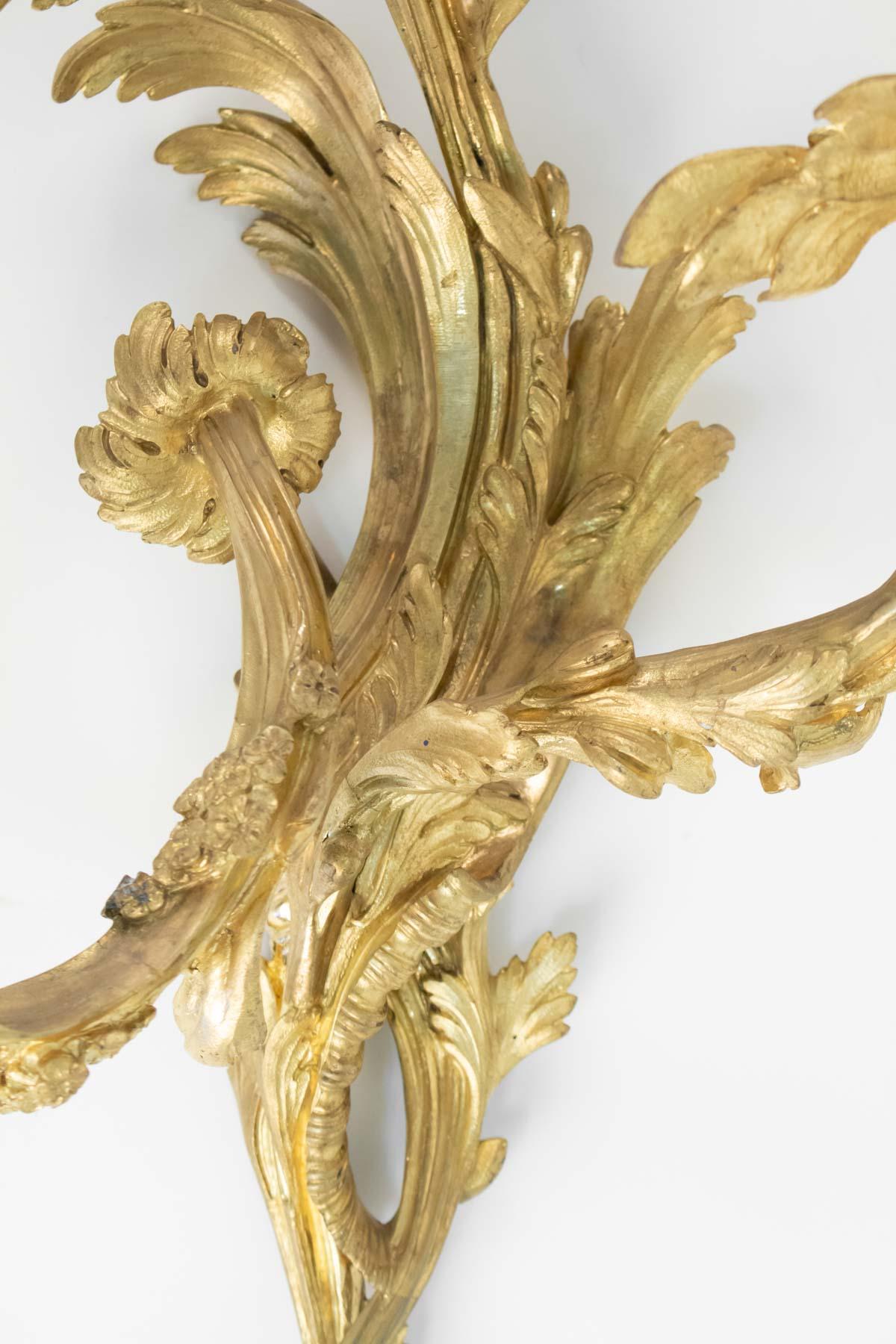 Pair of Gilt Bronze Sconces from the 19th Century in Louis XV Style 1