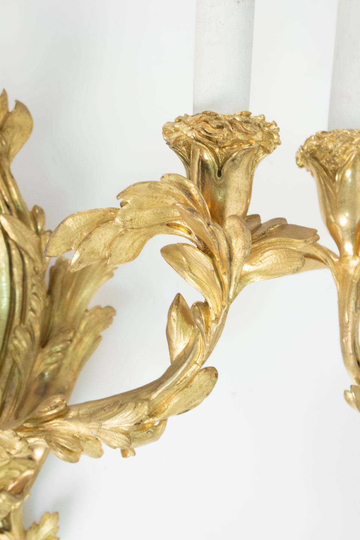 Pair of Gilt Bronze Sconces from the 19th Century in Louis XV Style 2