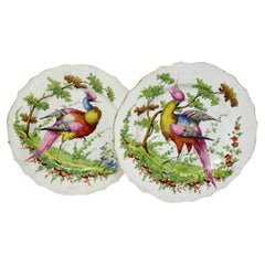 Antique Pair Gold Anchor English Chelsea Porcelain Cabinet Plates Ornithological Birds