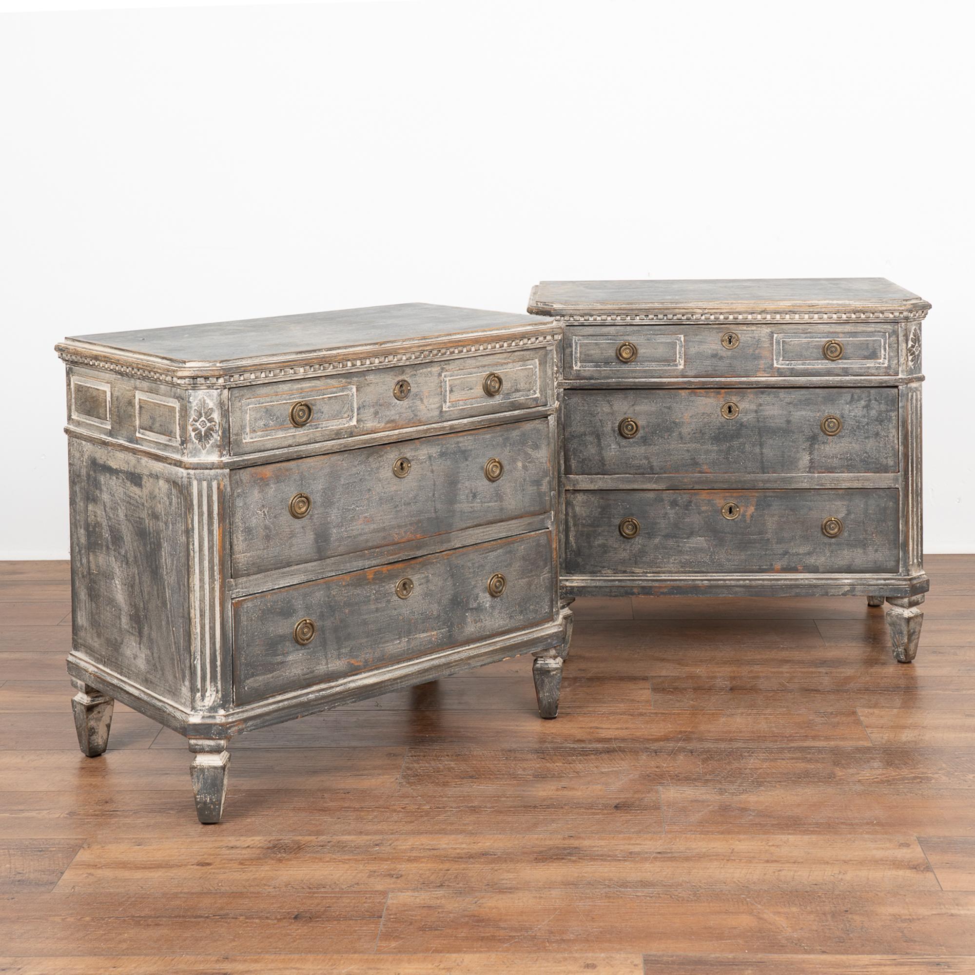 A pair of decorative Gustavian pine chest of drawers with canted fluted side posts with upper carved medallion, dentil molding, all raised on four tapered fluted feet.
The newer, professionally applied layered painted finish of gray, charcoal and