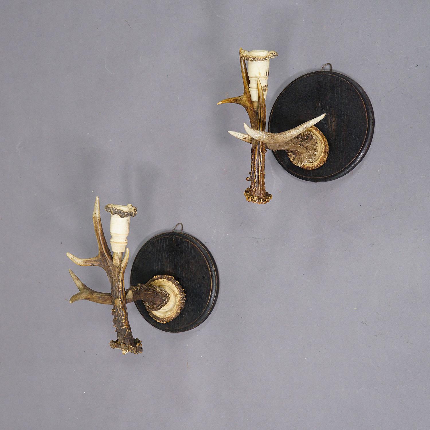 Pair Great Black Forest Wall Sconces with Deer Horns, Germany ca. 1900

An antique pair of Black Forest sconces for candles. Each made of original deer horns which are mounted on a turned wooden base. Spouts made of turned deer horns too. Executed