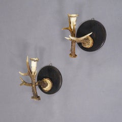 Pair Great Black Forest Wall Sconces with Deer Horns, Germany ca. 1900