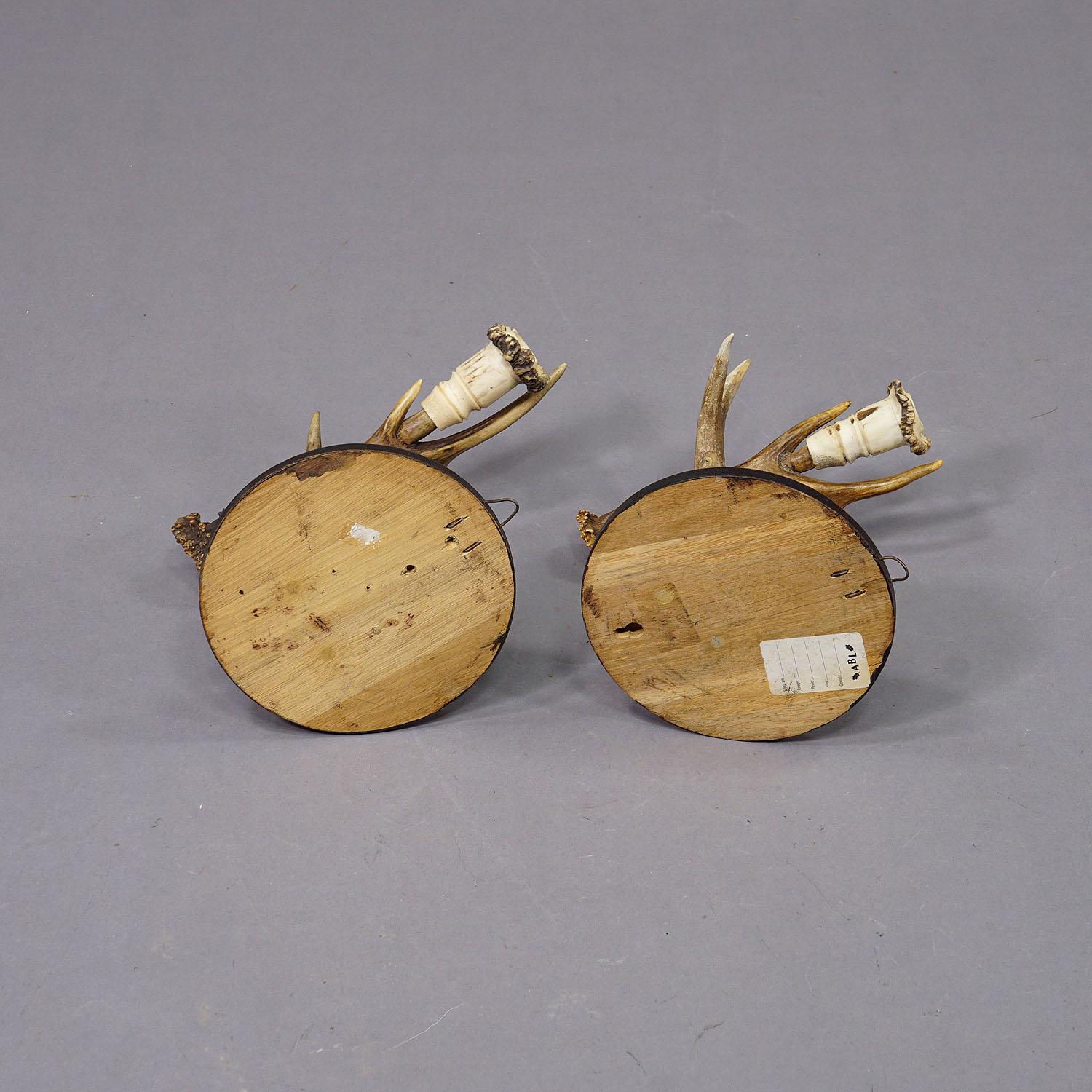 Pair Great Black Forest Wall Sconces with Deer Horns, Germany ca. 1900 For Sale 1