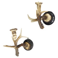 Pair Great Black Forest Wall Sconces with Deer Horns, Germany ca. 1900