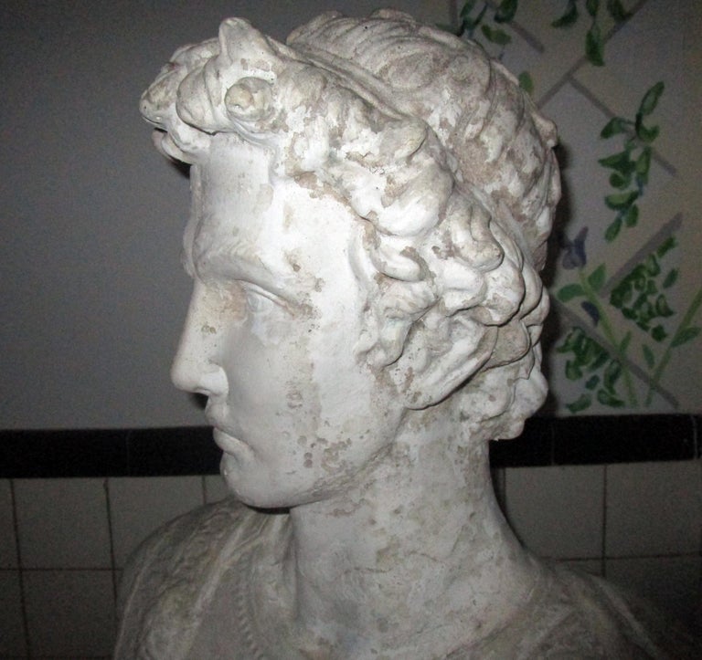 Pair of Greek God Garden Statue Busts on Ionic Column Pedestals For