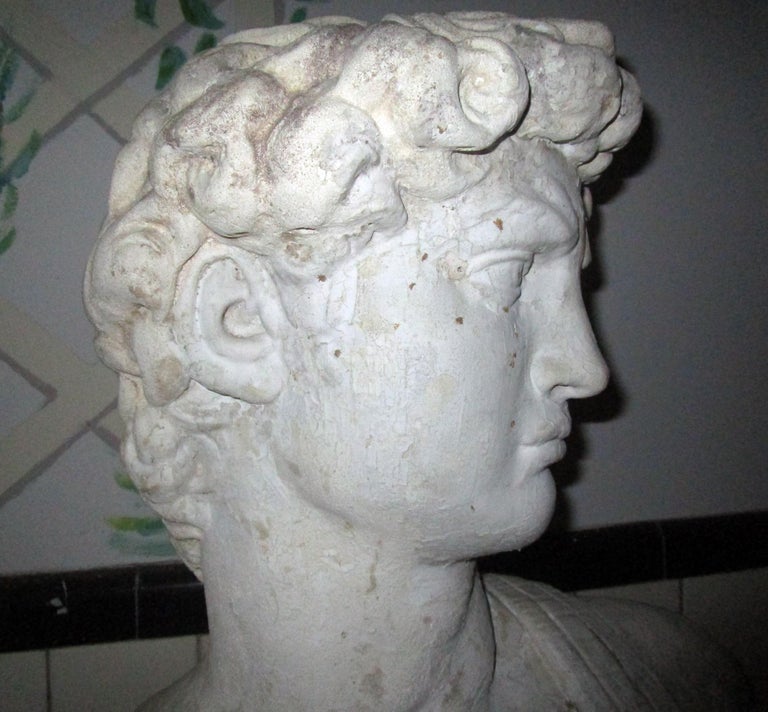 Pair of Greek God Garden Statue Busts on Ionic Column Pedestals For