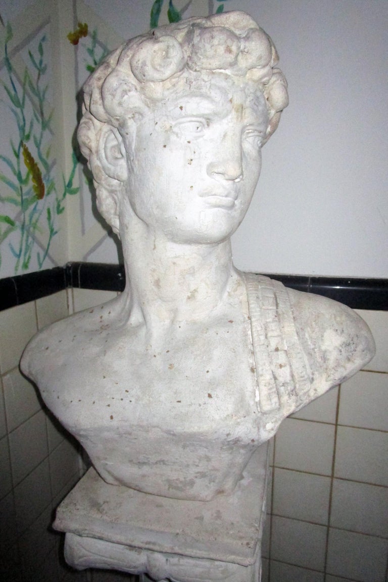 Pair of Greek God Garden Statue Busts on Ionic Column Pedestals For