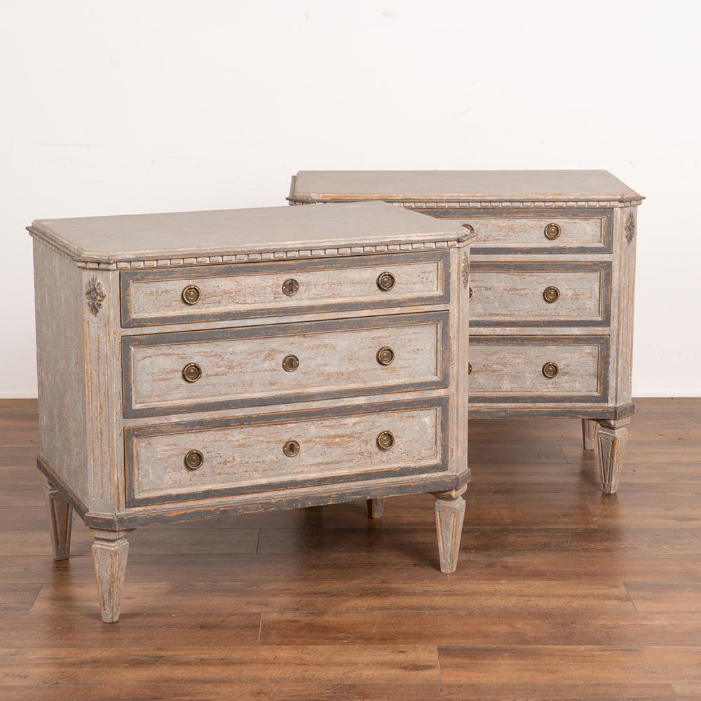 A pair of decorative Gustavian pine chest of drawers painted in shades of gray, fitting their Swedish origin.
Canted fluted side posts with upper carved medallion, dentil molding, raised on four tapered fluted feet.
The newer, professionally