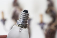 Coppia di legni da parete intagliati a mano di Barque