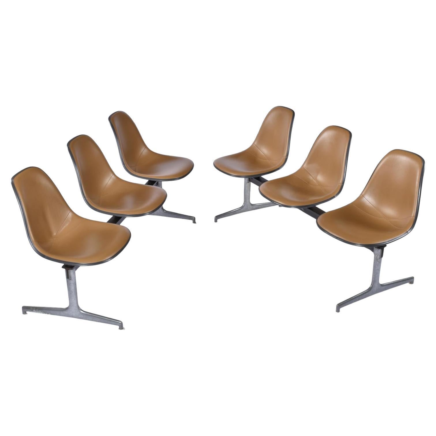 Zwei Eames-Tandemb�änke aus der Jahrhundertmitte. Die Bänke sind mit original braunen Naugahyde-Pads und dunkelkohlegrauen Fiberglasschalen ausgestattet. Jeder Stuhl trägt das Herman Miller-Zeichen unter der Sitzfläche. Die Stahlstange ist außerdem