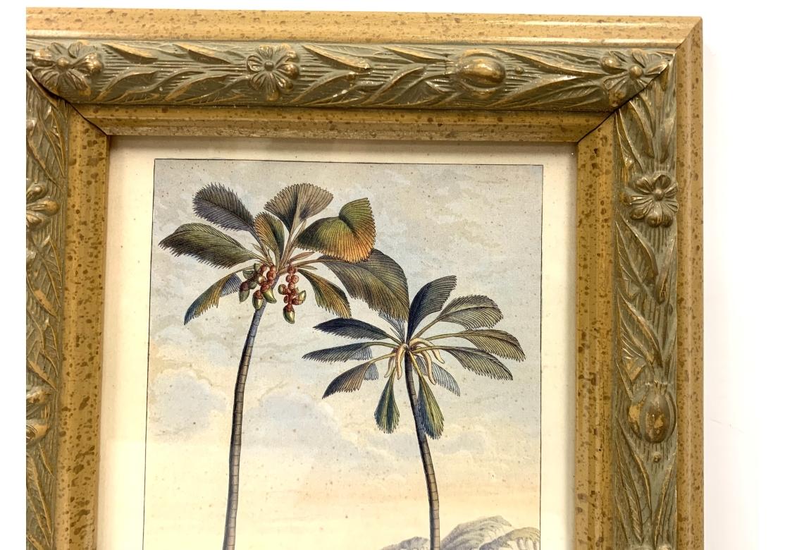Tribal Pair Horto Van Houtteano Polynesian Framed Botanical Prints