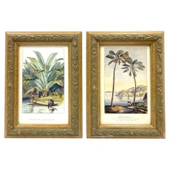 Vintage Pair Horto Van Houtteano Polynesian Framed Botanical Prints