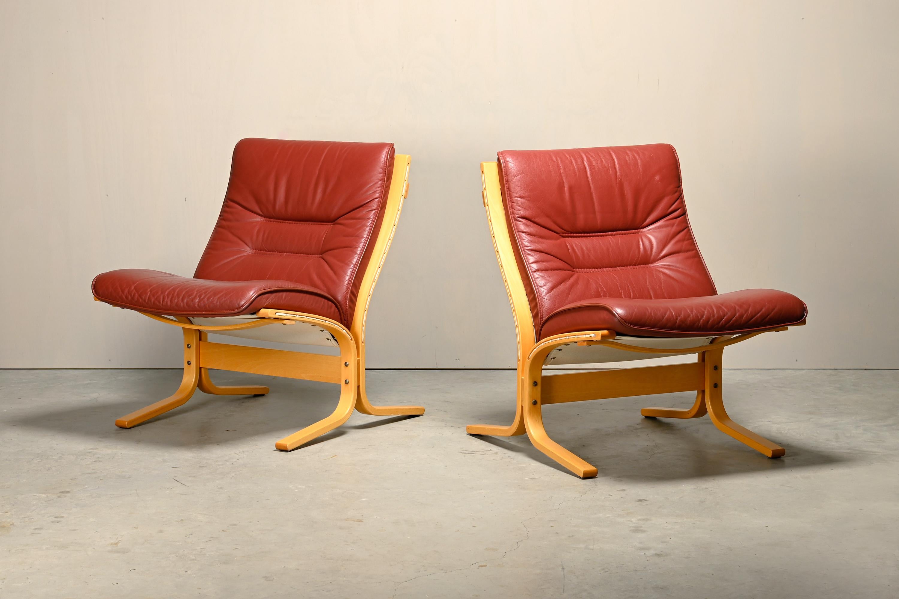 Paire de chaises longues Siesta d'Ingmar Relling pour Westnofa, Norvège. Cadres en bois de hêtre avec toile tendue entre eux. Coussins libres en bordeaux. Les deux chaises sont en très bon état et ne présentent que des signes mineurs d'usure.