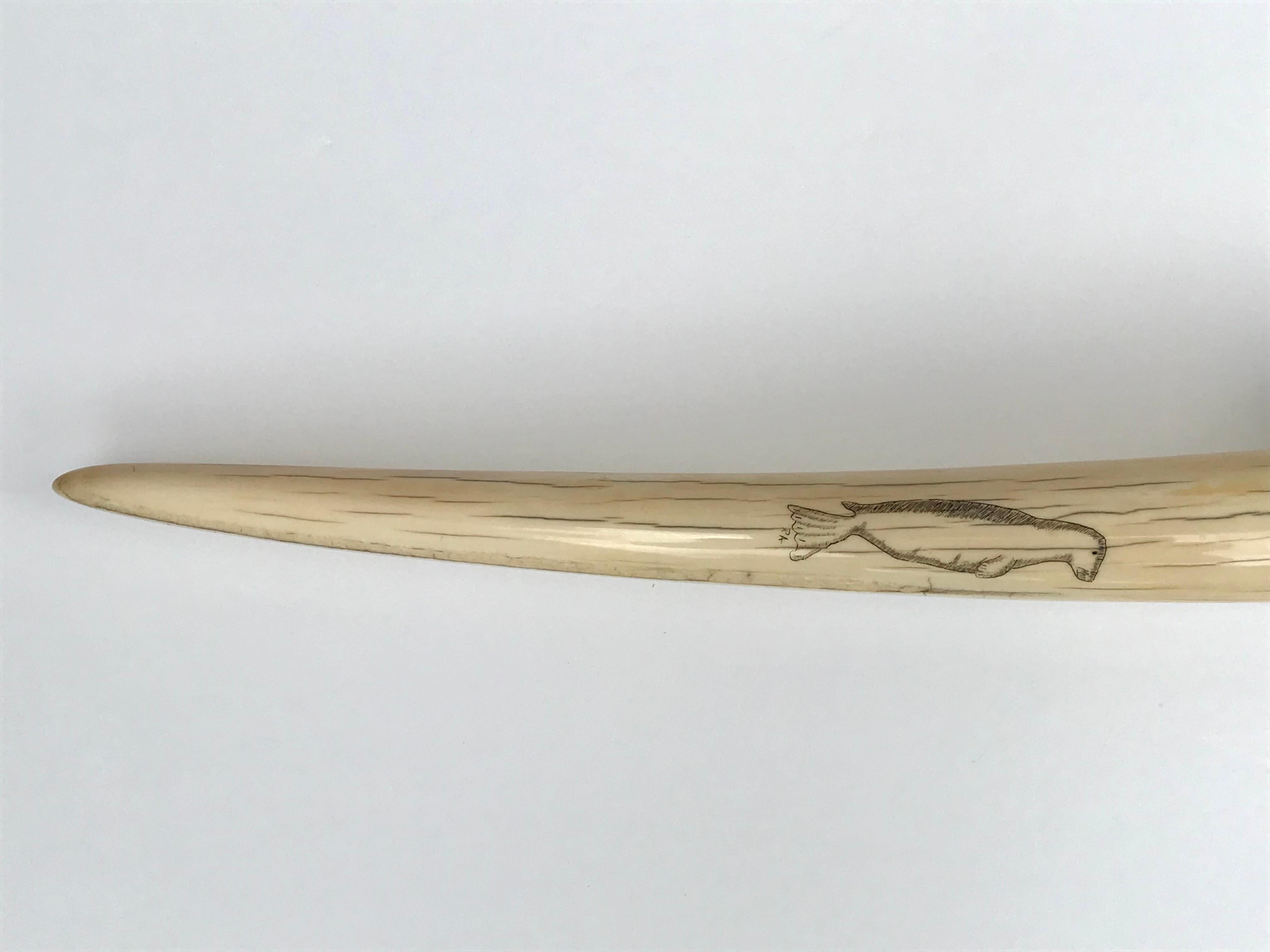 Pair Inuit Seal and Whale Scrimshaw Walrus Ivory Tusks In Good Condition For Sale In Dallas, TX