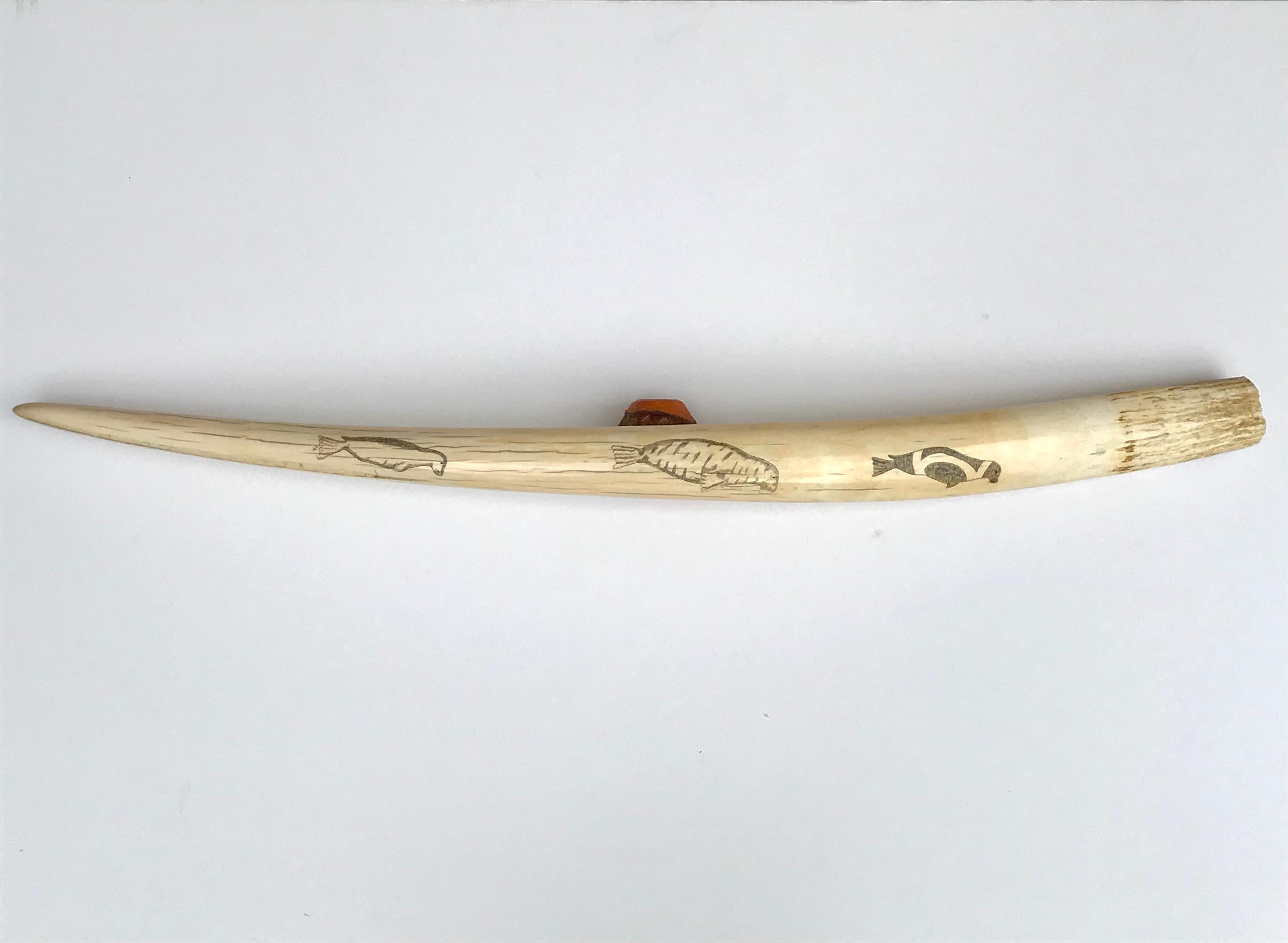 Early 20th Century Pair Inuit Seal and Whale Scrimshaw Walrus Ivory Tusks For Sale
