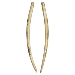 Pair Inuit Seal and Whale Scrimshaw Walrus Ivory Tusks