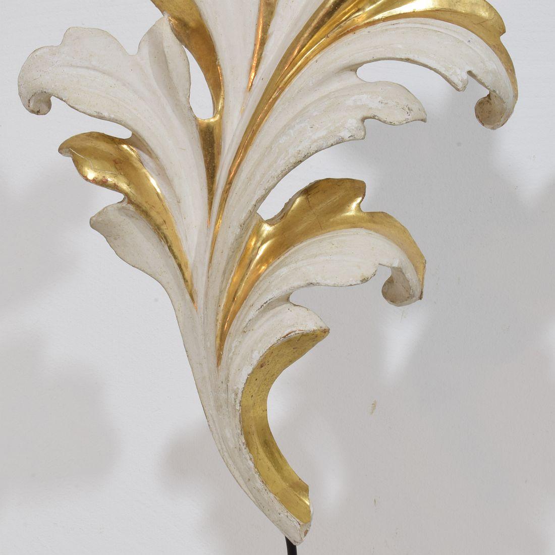 Pair Italian 18/19th Century Hand Carved Giltwood Acanthus Leaf Curl Ornaments For Sale 6