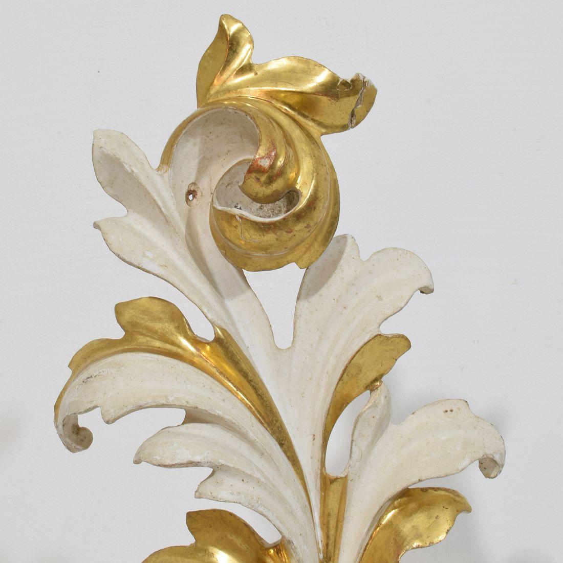 Pair Italian 18/19th Century Hand Carved Giltwood Acanthus Leaf Curl Ornaments For Sale 11