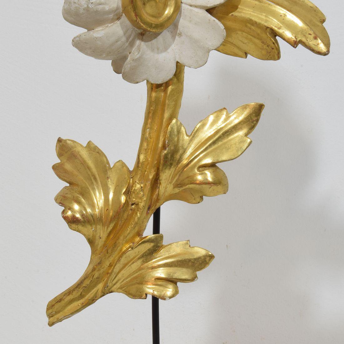 Paar italienische 18/19. Jahrhundert Hand geschnitzt Giltwood Floral Ornaments im Angebot 11