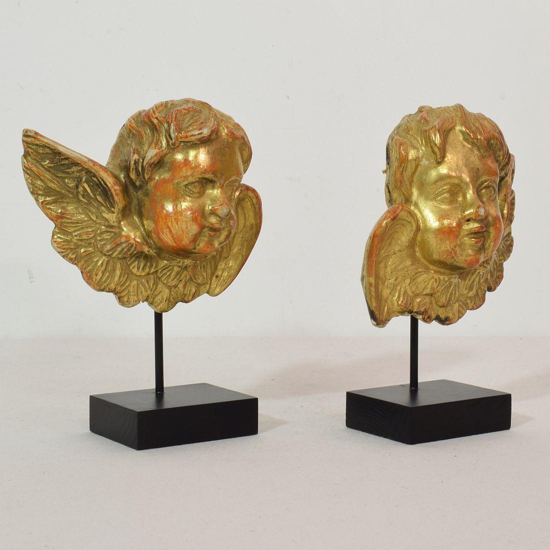 Beautiful pair giltwood winged angelheads.
Italy, circa 1750
Weathered. These ornaments were once part of a larger panel.
Measurement here below individual and inclusive the wooden base.