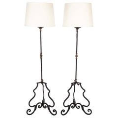 Floor Lamps