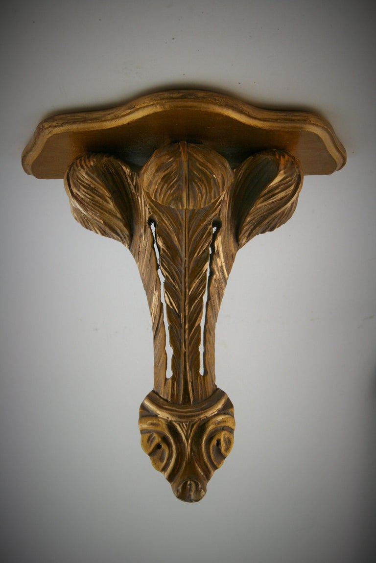 Pair of Italian Plume Hand Carved Gilt wood Brackets For Sale at 1stDibs