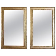 Pair of Italian Neoclassic Silver Gilt Vertically Shaped Mirrors