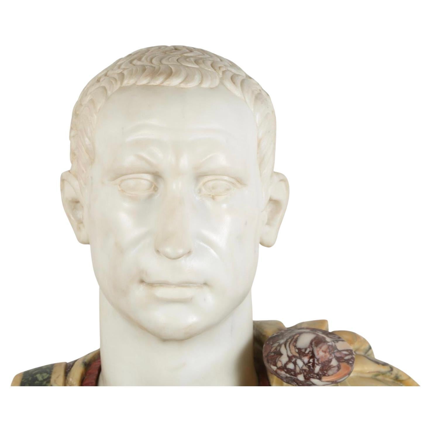 20th Century  Pair Italian Specimen Marble / Hardstone Busts of Roman Emperors