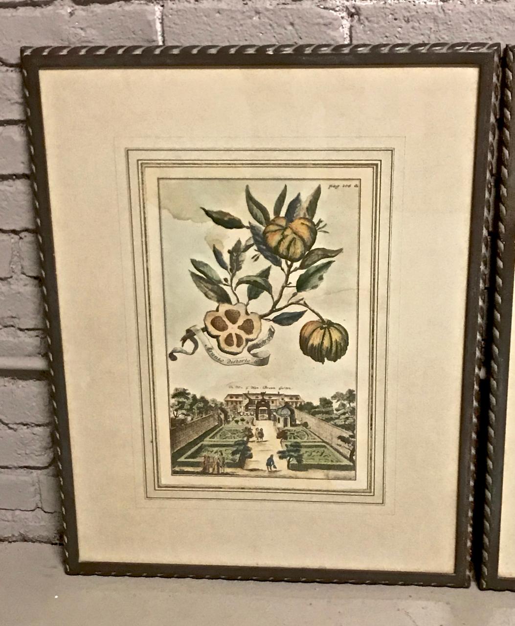 This is a wonderful pair of Volkamer early 18th century engravings of lemon trees and the spectacular gardens in which they were grown. The engravings retain their crisp hand-coloring with little fading. The folios are custom-framed and beautifully