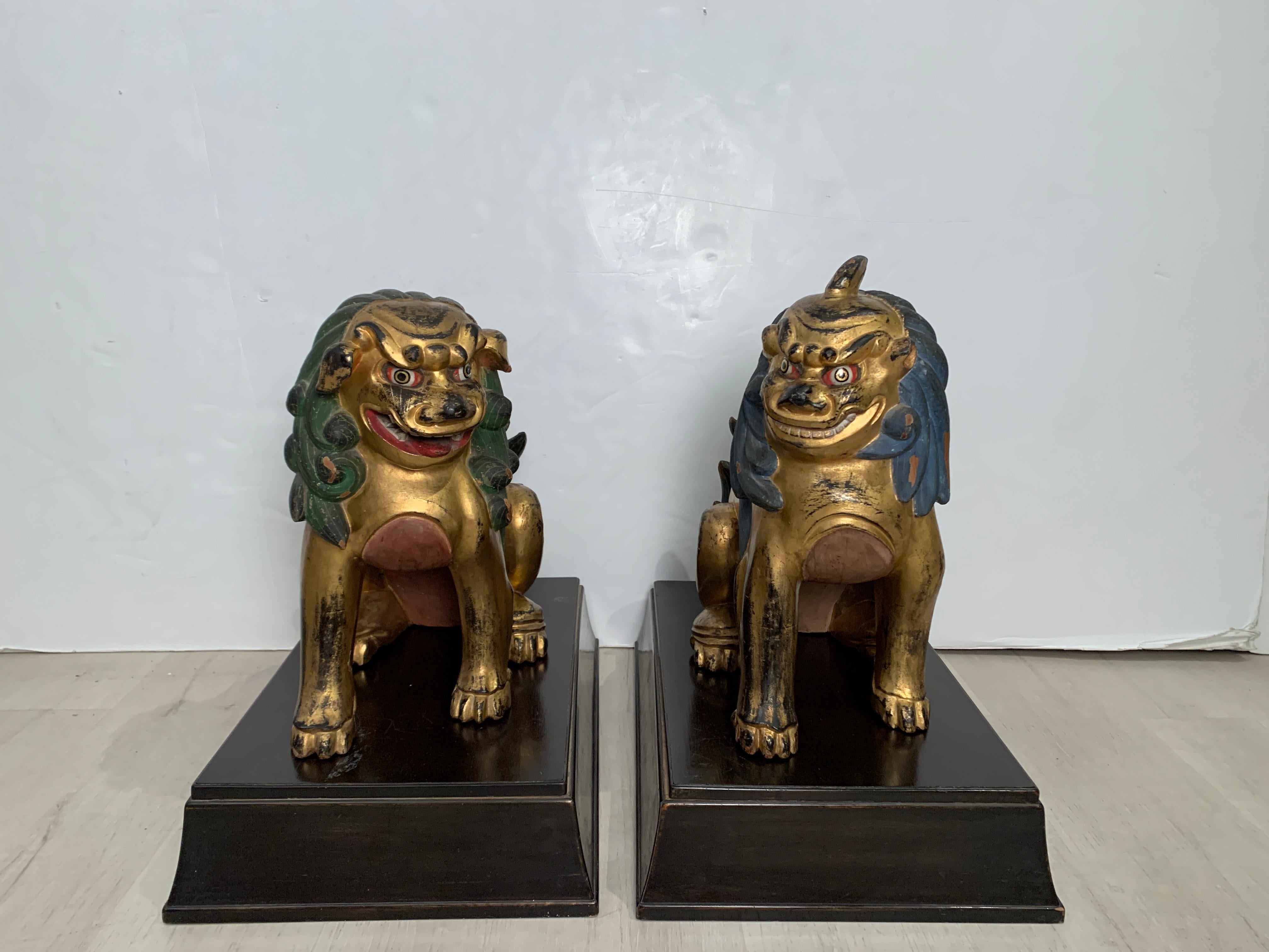 Ein charmantes und verschmitztes Paar japanischer geschnitzter, vergoldeter und bemalter Komainu, die oft mit Foo-Hunden oder Foo-Löwen verwechselt werden, Showa-Periode, 1920er Jahre, Japan. 

Die beiden Komainu, die Wächterlöwen, sind auf ihren