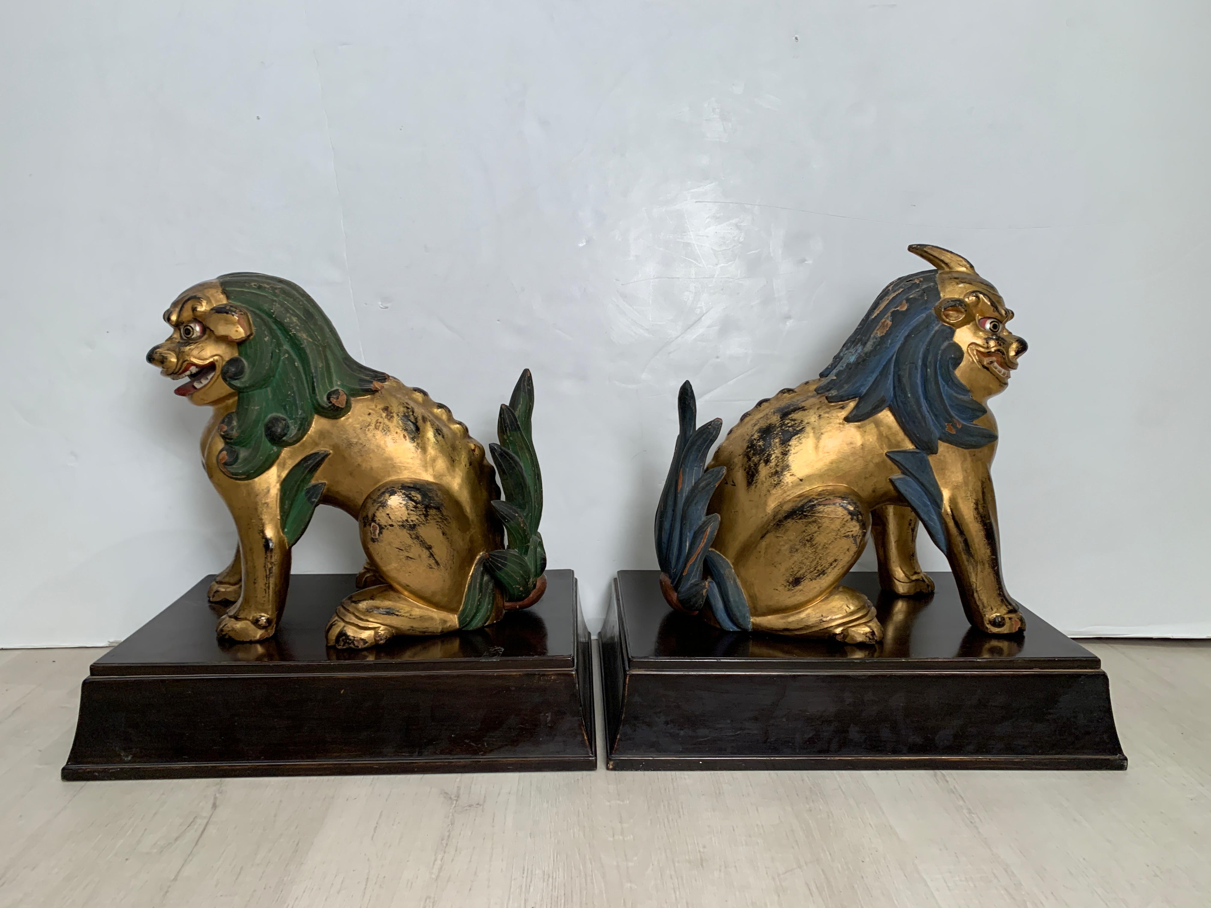 Japonais Paire de lions gardiens Komainu en bois doré, début du 20e siècle, Japon en vente