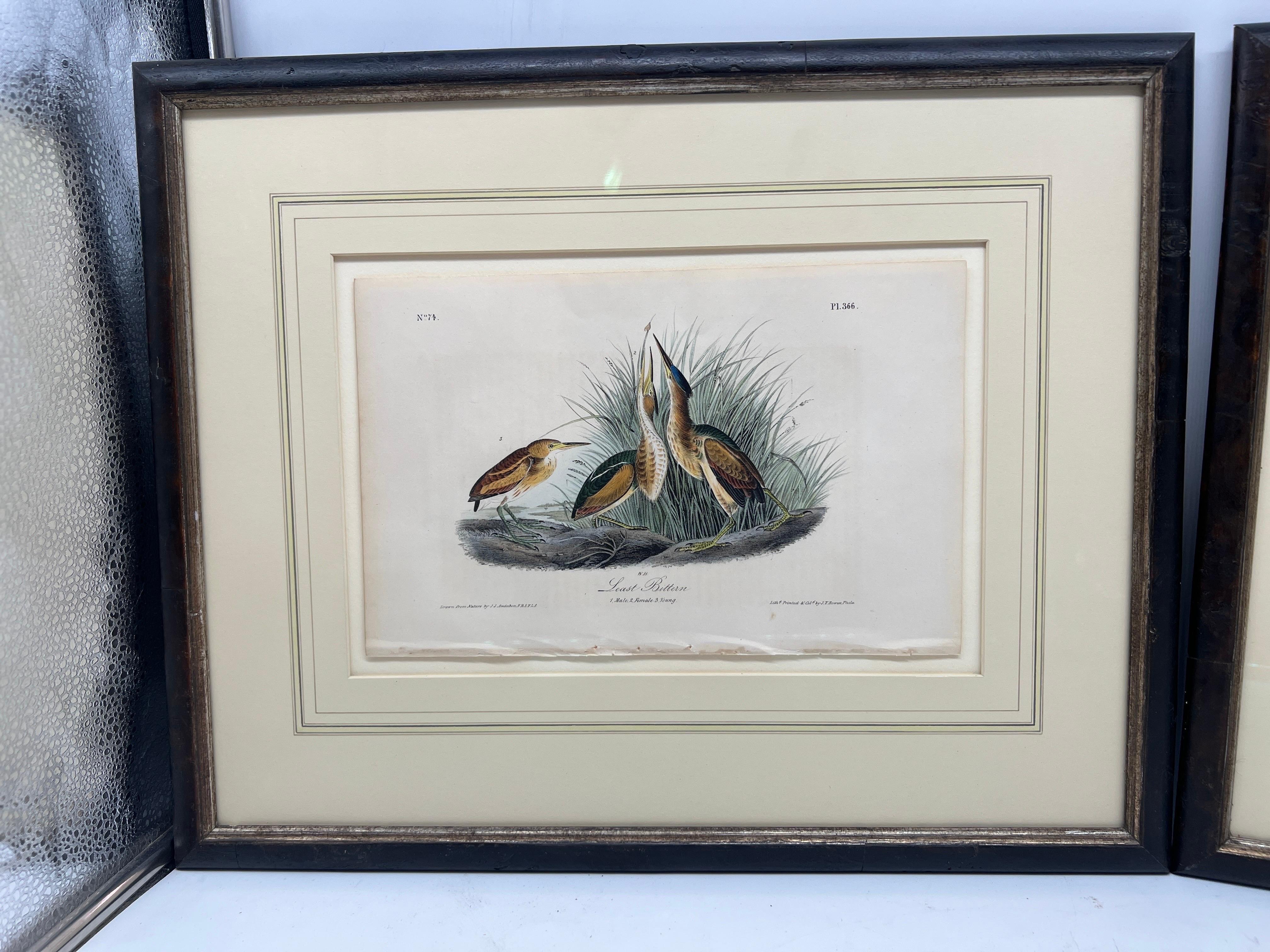 American, 19th century. 

A pair of well framed and mounted John James Audubon ornithological engravings of 