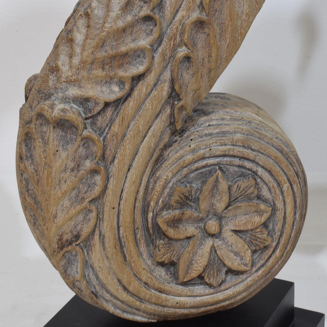 Coppia di grandi ornamenti in legno di quercia intagliato neoclassico francese del XVIII secolo in vendita 9