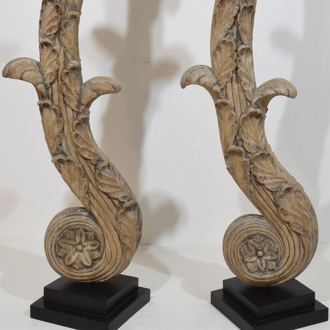 Quercia Coppia di grandi ornamenti in legno di quercia intagliato neoclassico francese del XVIII secolo in vendita