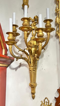 Pair Large 19th Century French Louis XVI Style 5-Light Gilt Bronze Sconces
