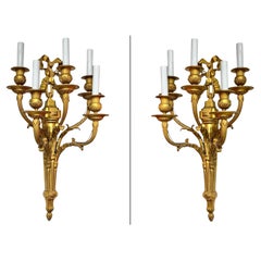 Pair Large 19th Century French Louis XVI Style 5-Light Gilt Bronze Sconces