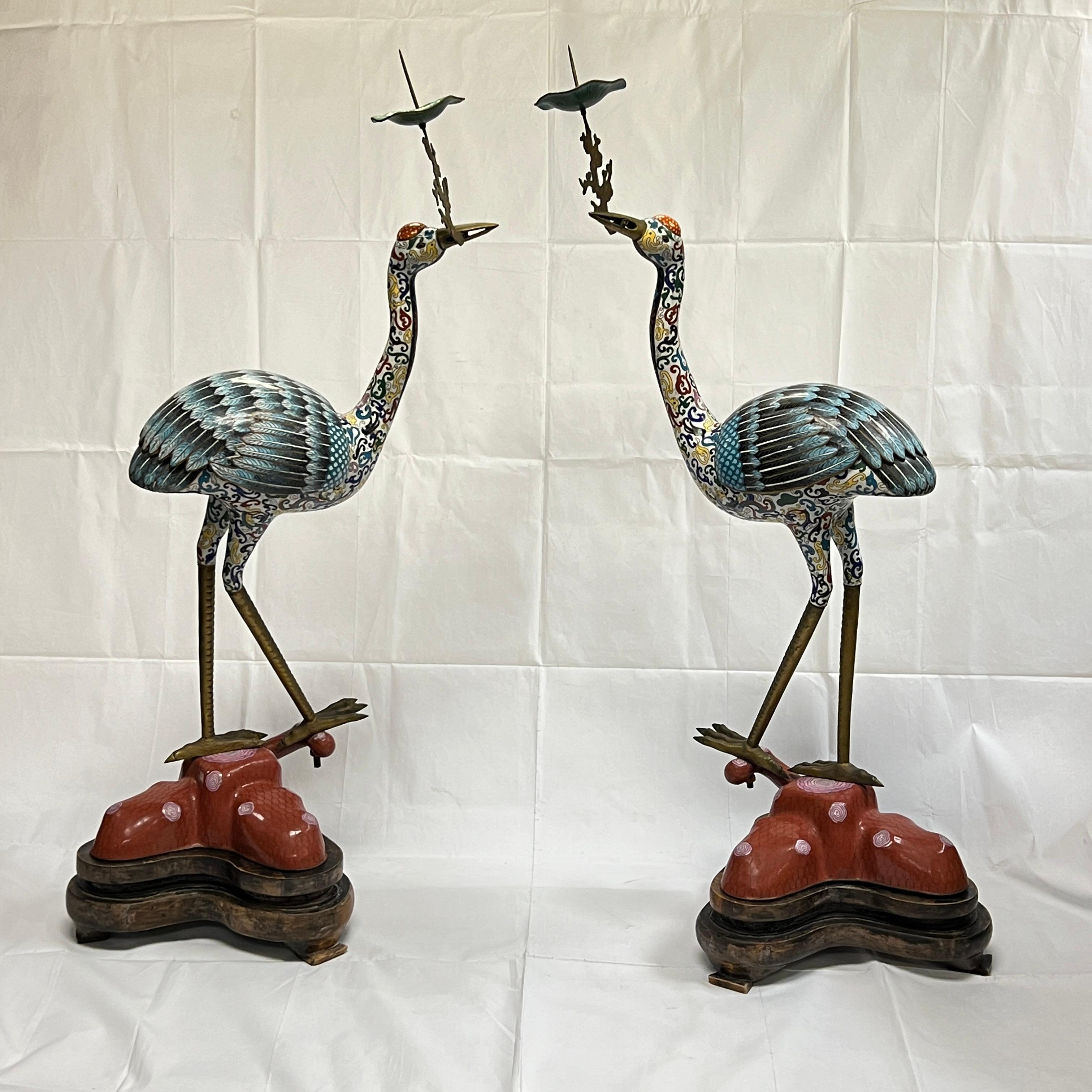Pair of very large antique Chinese cloisonne enamel candle holders fashioned as standing cranes holding prunus branch and lotus leaf in their mouths, and resting on carved wooden stands.