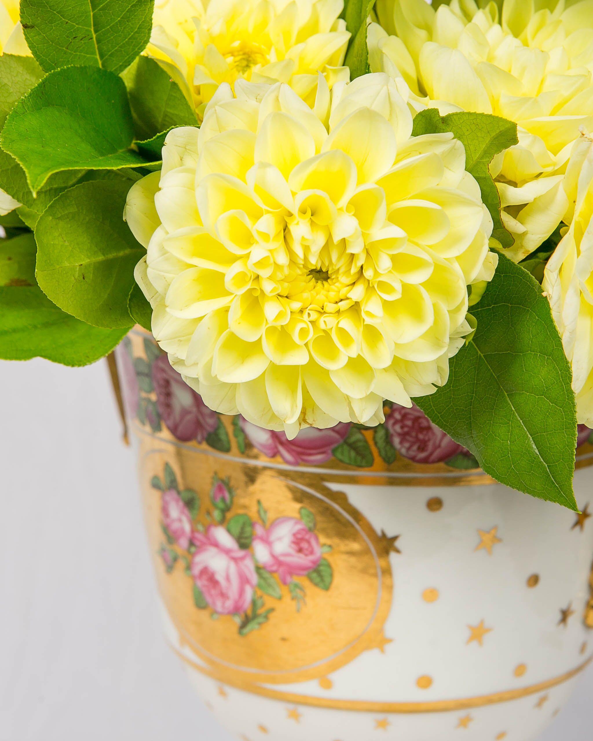  Dieses Paar ist eine hervorragende Vase aus der Regency-Zeit!
Die Vasen fungieren als Eiskübel mit Innenbehälter für Eis oder, wenn Sie möchten, für Blumen.
Sie wurden von Spode um 1810 hergestellt, sind groß, reich vergoldet und mit leuchtend rosa