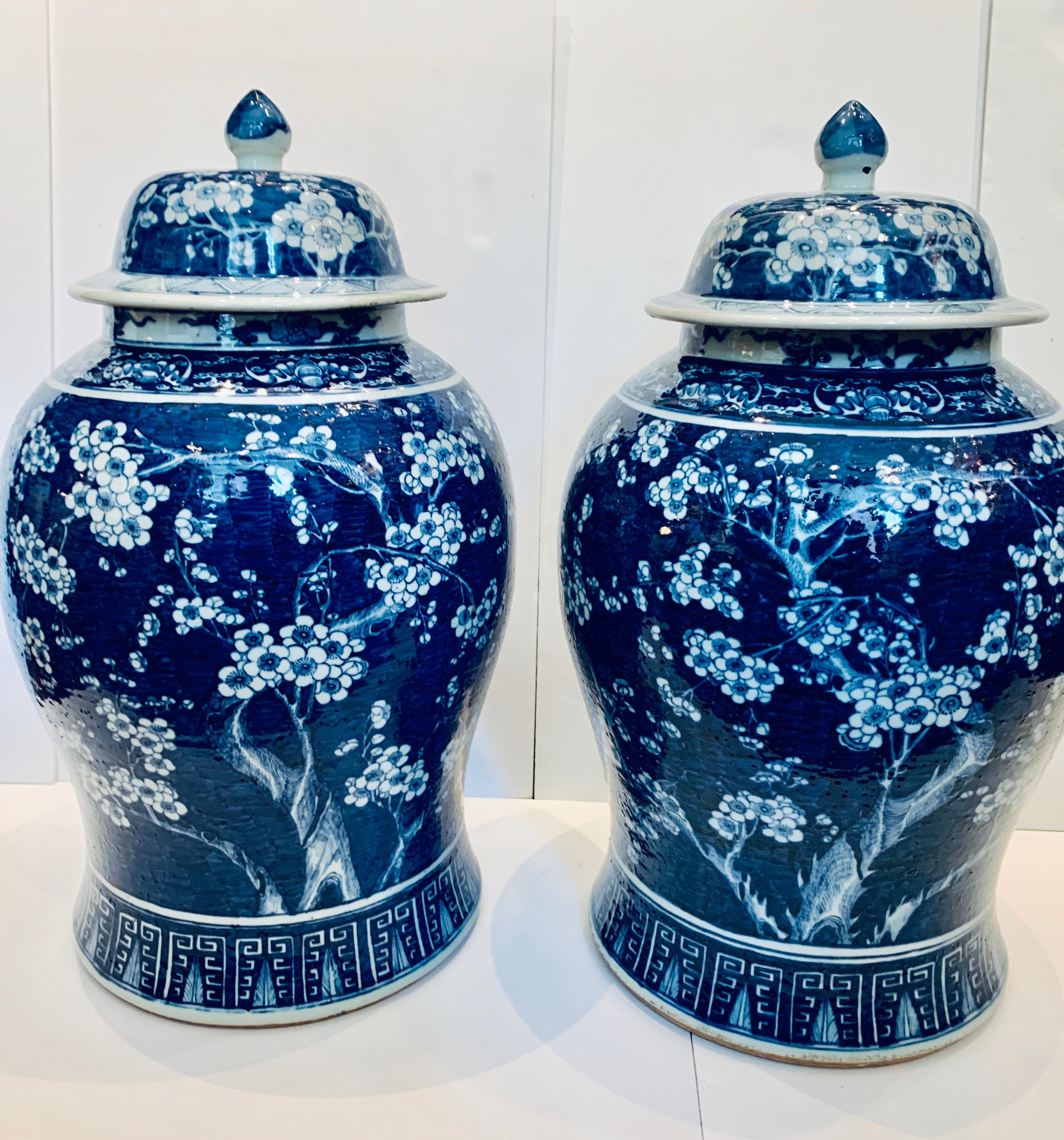 Why We Love It: Crisp white flowers on deep blue
This pair of large blue and white antique Chinese porcelain jars has exquisite decoration. The jars were hand painted in the Qing dynasty in the second half of the 19th century. We see crisp white