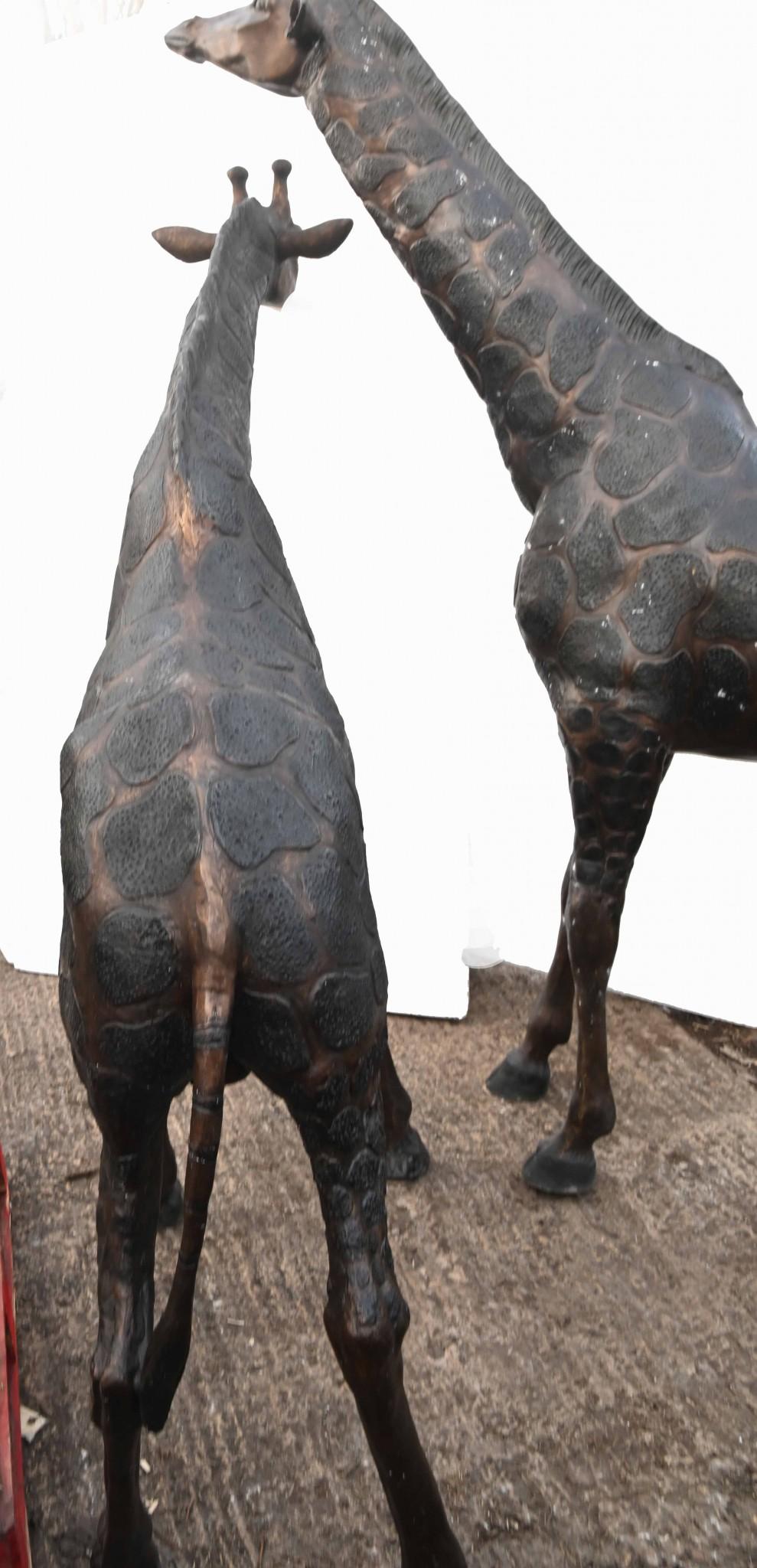 Paire de grandes statues de girafe en bronze - 226 cm en vente 5