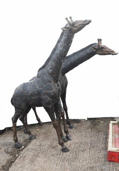 Pair Large Bronze Giraffe Statues - 226 CM