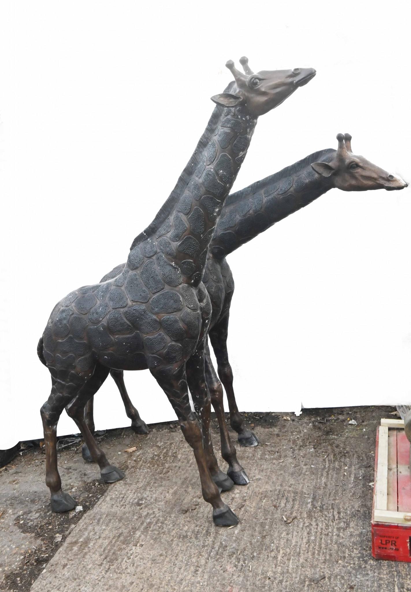Paire de grandes statues de girafe en bronze - 226 cm Bon état - En vente à Potters Bar, GB