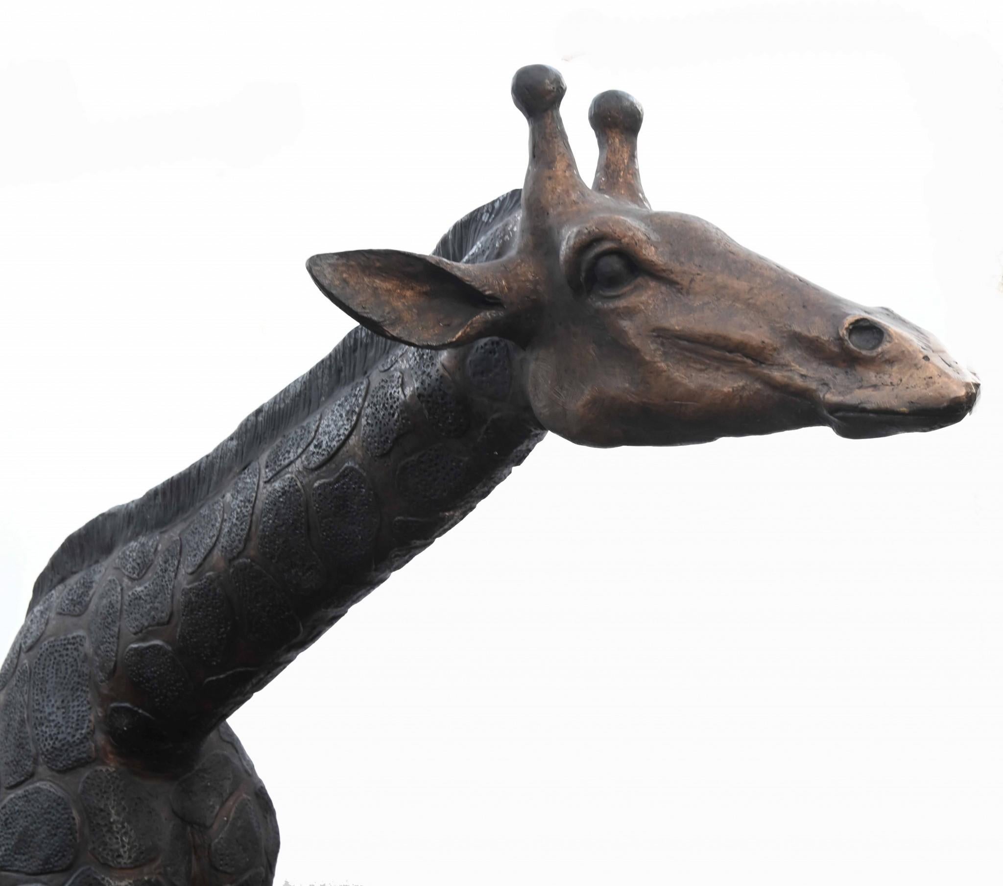 Paire de grandes statues de girafe en bronze - 226 cm en vente 1