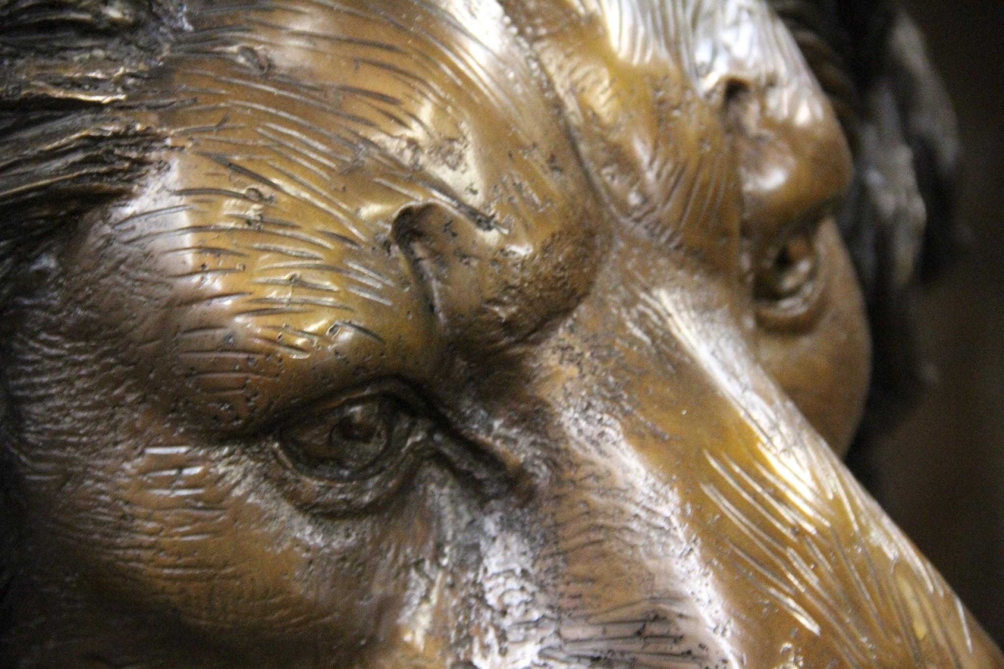 Paire de grands lions en bronze - Cats de garde recumbants Bon état - En vente à Potters Bar, GB