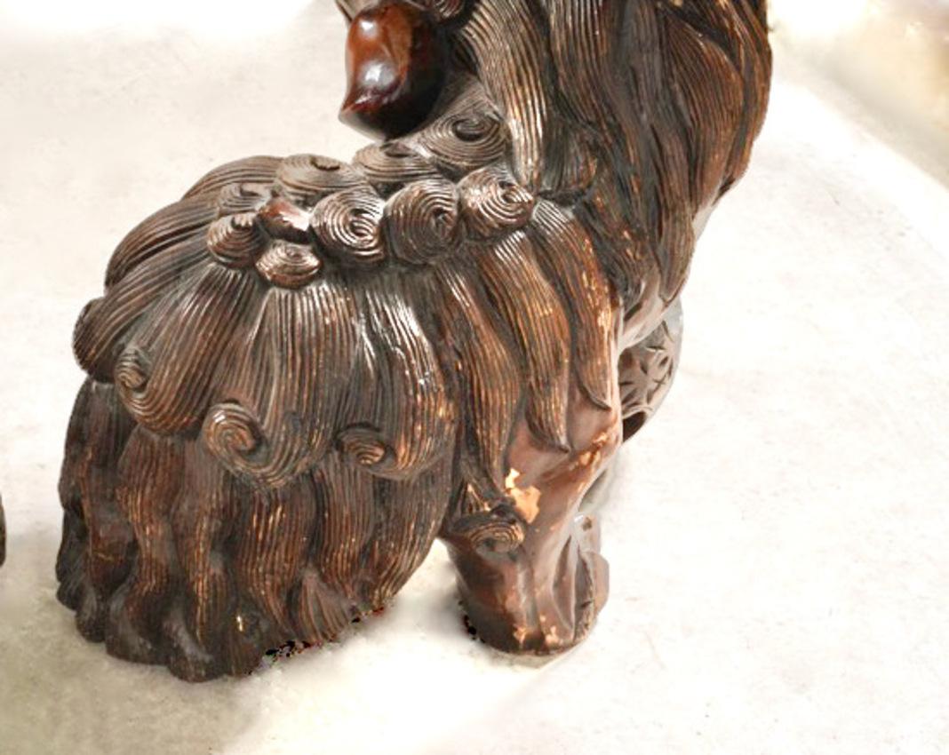 Pair Large Carved Fu Lions 5