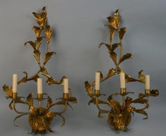 Pair Large Italian Hollywood Regency  Gilt Foliate Three Light Sconces