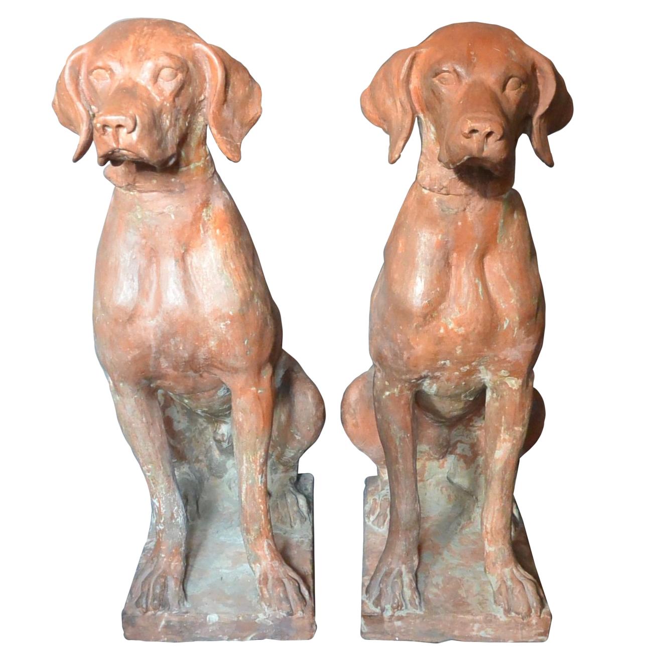 Pair of large Italian hunting dogs. Beautifully modeled life-size terracotta hunting dogs on short plinths, perfect for either side of a door or entrance, Italy, early 20th century.
Dimensions: 9.25